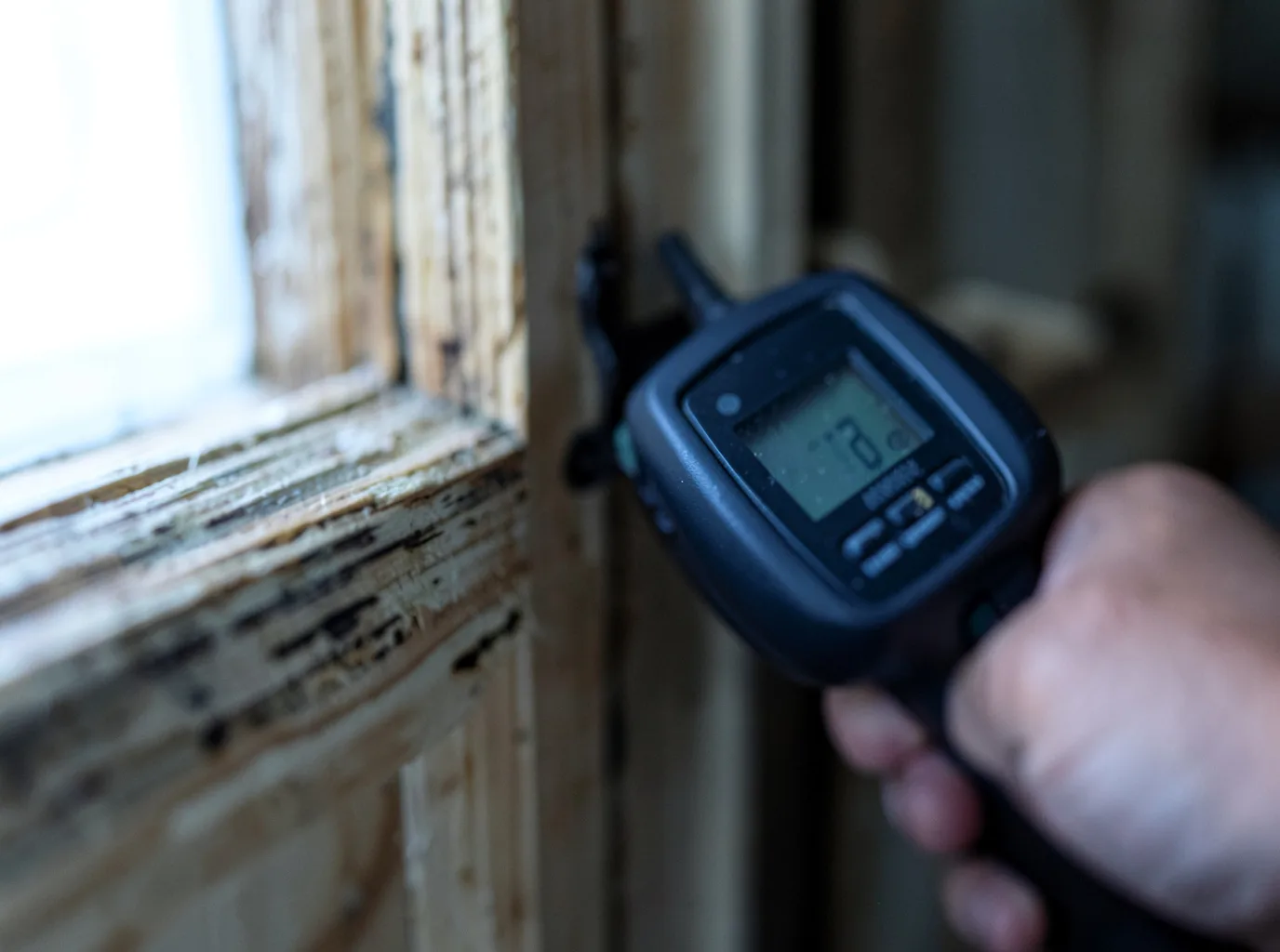 Moisture Inspection And Documentation in Forestdale, MA